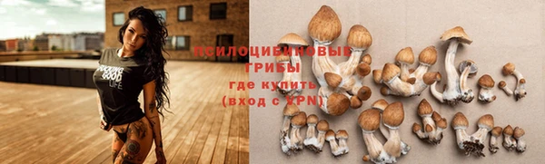 индика Алексин