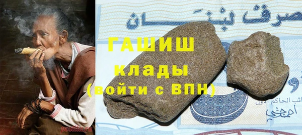 индика Алексин