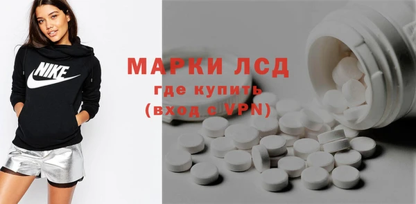 индика Алексин