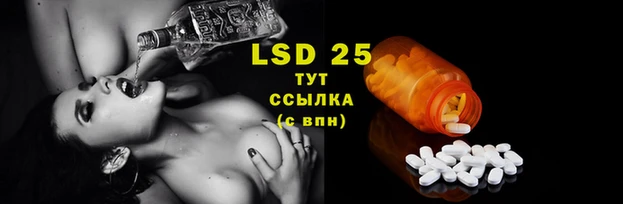 индика Алексин