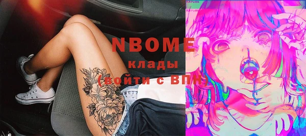индика Алексин