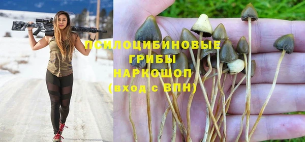 индика Алексин