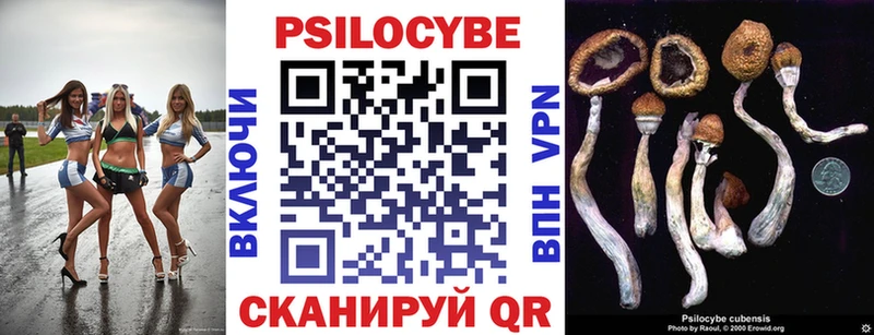 Псилоцибиновые грибы GOLDEN TEACHER  Морозовск 
